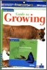 Four Corners Early #22 : Guide to Growing (Book+CD+Workbook)