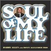 Harry Allen - Soul Of My Life