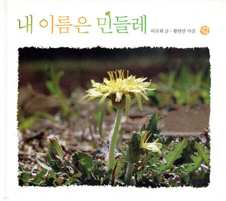 내 이름은 민들레