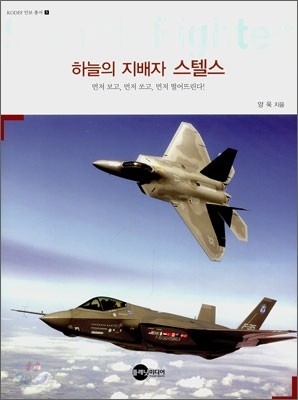 STEALTH FIGHTER 하늘의 지배자 스텔스