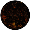 Black Dahlia Murder - Abysmal (Picture Disc)(LP)