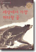세상에서 가장 커다란 곰