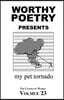 Worthy Poetry: my pet tornado