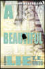 A Beautiful Lie: Playing with Fire, Book 1