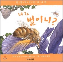 네가 벌이니?