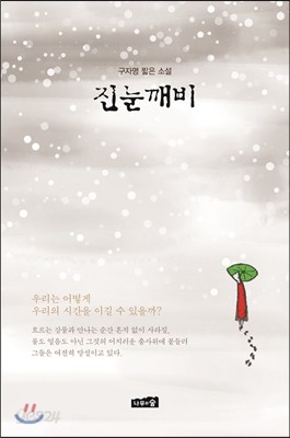 진눈깨비