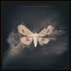 Solomon Grey - Solomon Grey