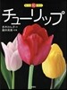 もっと知りたい チュ-リップ