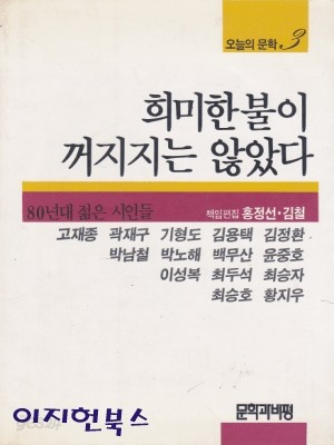 희미한 불이 꺼지지는 않았다 (오늘의 문학 3)