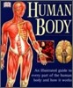 The Human Body