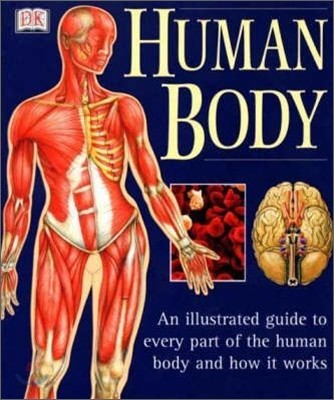 The Human Body