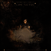 Dana Falconberry & Medicine Bow - From The Forest Came The Fire (Clear Vinyl)(LP)