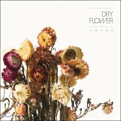 드라이플라워 (Dry Flower) 1집 - 사랑이었다