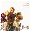 드라이플라워 (Dry Flower) 1집 - 사랑이었다