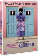 트랜스아메리카