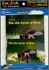 English Explorers Science Level 2-01 : The Life Cycle of Bees (Book+CD+Workbook)