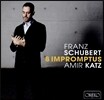 Amir Katz 슈베르트: 8개의 즉흥곡 (Schubert: 8 Impromptus D.899 & 935) 아미르 카츠