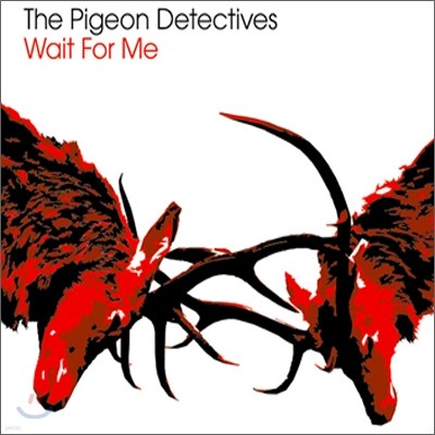 The Pigeon Detectives - Wait For Me