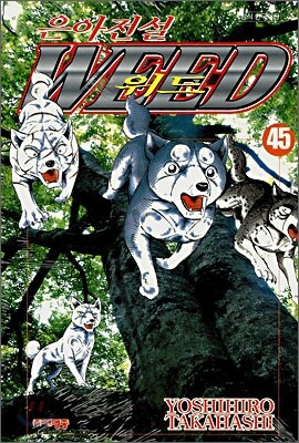 은아전설 WEED 위드 45