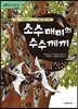 소수매미의 수수께끼