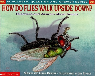 [Scholastic Q&amp;A] How Do Flies Walk Upside Down? : Questions and Answers About Insects