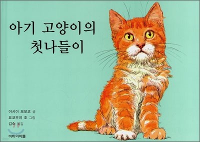 아기 고양이의 첫나들이