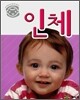 인체