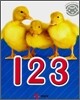 123