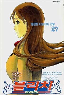 블리치 BLEACH 27