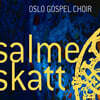 Oslo Gospel Choir (오슬로 가스펠 콰이어) - Salmeskatt