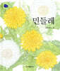 민들레