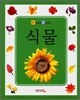식물