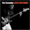 Jaco Pastorius - The Essential Jaco Pastorius