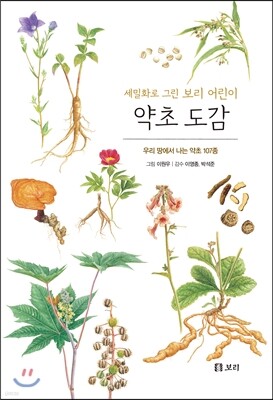 약초 도감 : 세밀화로 그린 보리 어린이 도감