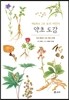 약초 도감 : 세밀화로 그린 보리 어린이 도감