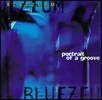 Bluezeum (블루지움) - Portrait of a Groove