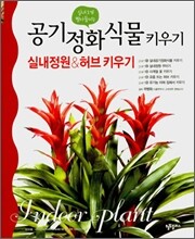 실내오염 빨아들이는 공기정화식물 키우기