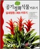 실내오염 빨아들이는 공기정화식물 키우기