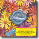 Stereophonics - Have A Nice Day/Handbags And Gladrags (Single Special Package)