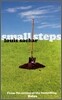 Small Steps