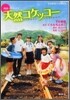 天然コケッコ-