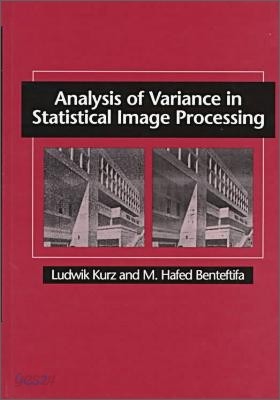 Analysis of Variance in Statistical Image Processing