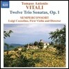Semperconsort 비탈리: 12개의 트리오 소나타 (Tomaso Antonio Vitali: Trio Sonatas, Op. 1)