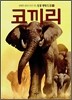 코끼리