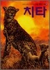 치타