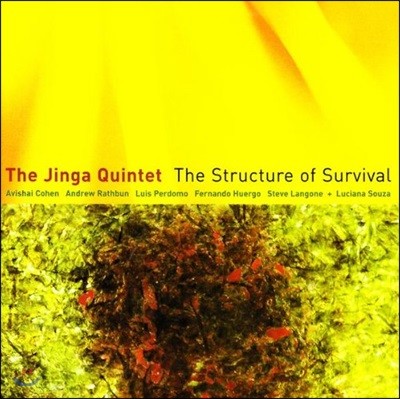 The Jinga Quintet & Avishai Cohen - The Structure of Survival