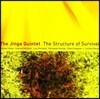 The Jinga Quintet & Avishai Cohen - The Structure of Survival