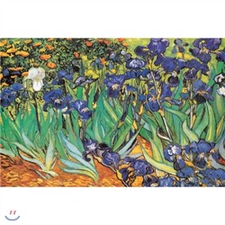 아이리스  (500조각 / BB584 / 단일상품)
