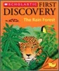 Rain Forest
