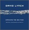 Catching the Big Fish: Meditation, Consciousness, and Creativity